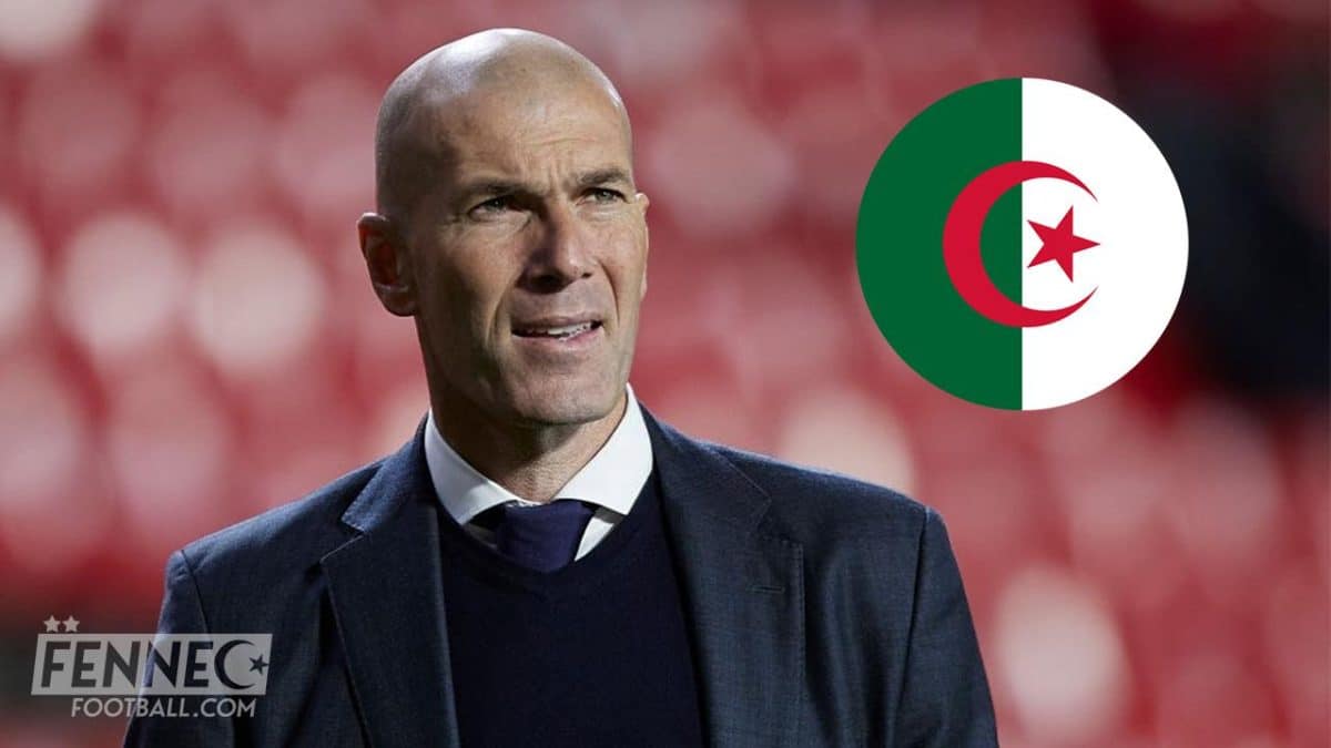 découvrez le lien fascinant entre zinedine zidane et l'algérie, explorant ses racines algériennes, son parcours exceptionnel dans le monde du football et son impact sur la culture sportive. une plongée dans la carrière d'une légende du foot qui n'oublie jamais ses origines.