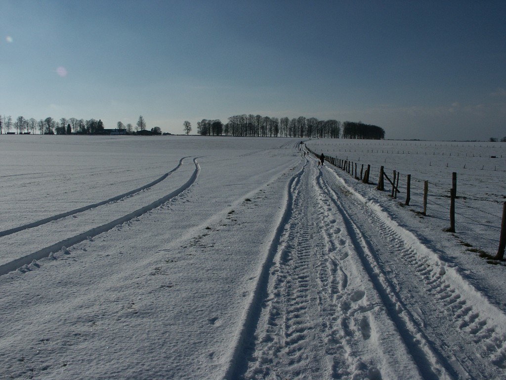 découvrez comment surmonter les défis d'un hiver rigoureux avec des conseils pratiques pour rester au chaud, protéger votre maison et prendre soin de votre santé durant les mois les plus froids de l'année.