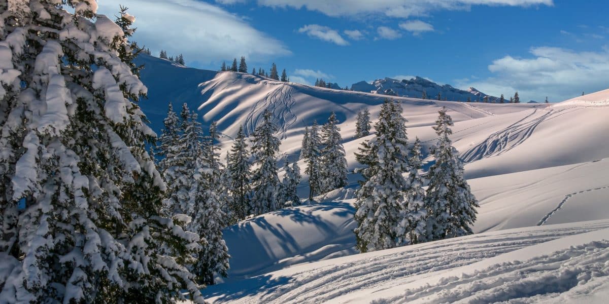 découvrez les meilleures destinations neige pour vos vacances d'hiver. que vous soyez amateur de ski, de snowboard ou simplement en quête de paysages hivernaux, explorez nos recommandations pour des séjours inoubliables au cœur des montagnes enneigées.