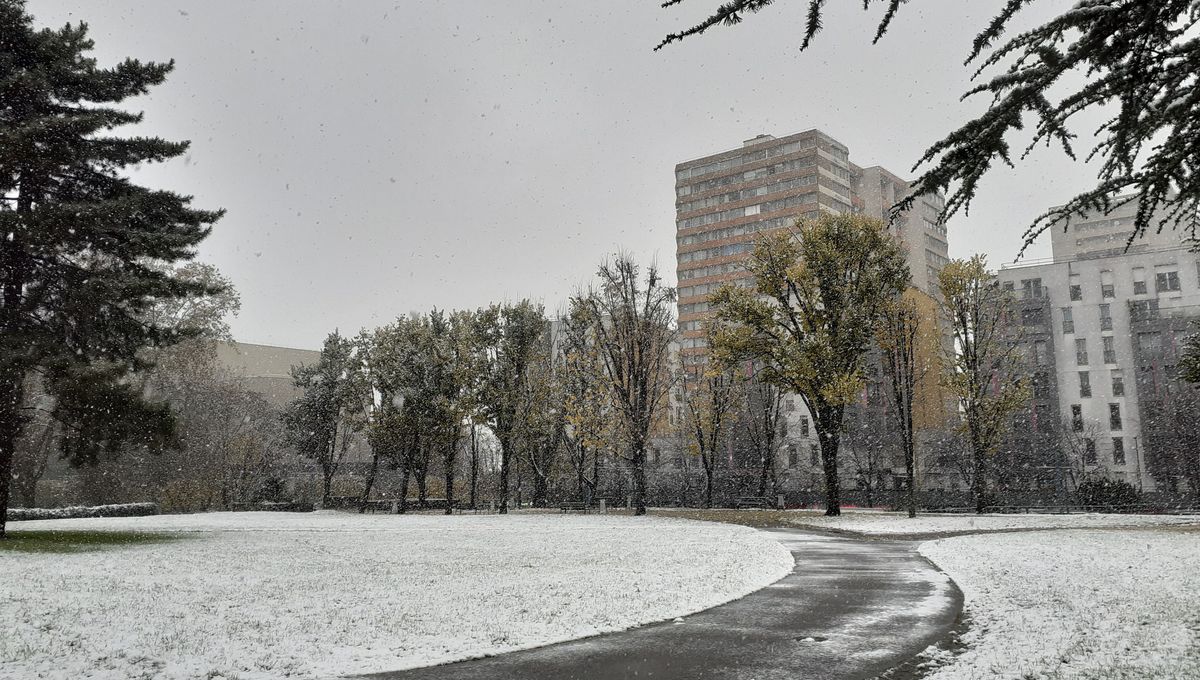 restez informé sur les alertes de neige ! découvrez les dernières prévisions météorologiques, conseils de sécurité et mises à jour sur les conditions hivernales dans votre région.